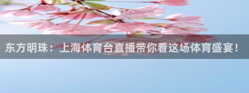 永利官网入口：东方明珠：上海体育台直播带你看这场体育盛宴！
