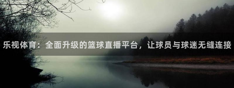 永利黄金树价值多少钱：乐视体育：全面升级的篮球直播平台，让球员与球迷无缝连接
