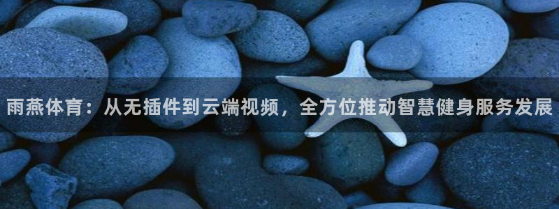 永利皇宫酒店：雨燕体育：从无插件到云端视频，全方位推动智慧健身服务发展