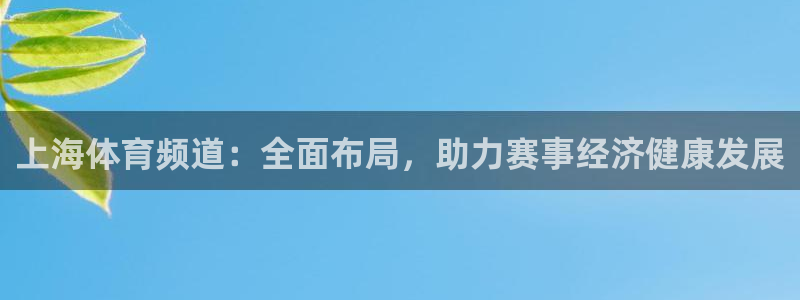 永利八达通：上海体育频道：全面布局，助力赛事经济健康发展
