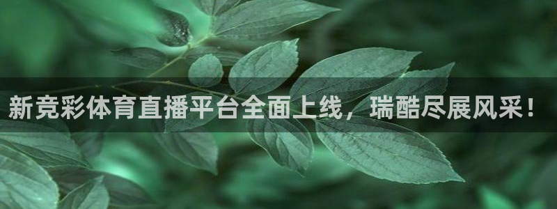 永利股份股吧：新竞彩体育直播平台全面上线，瑞酷尽展风采！
