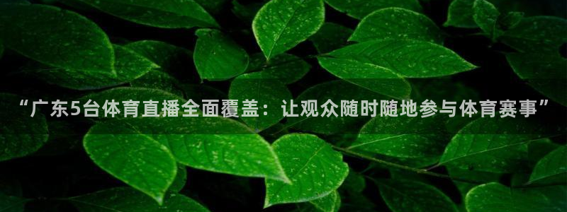 永利皇宫酒店图片：“广东5台体育直播全面覆盖：让观众随时随地参与体育赛事”
