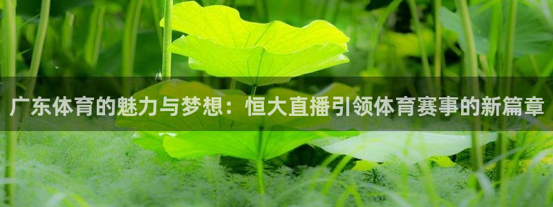 永利代理：广东体育的魅力与梦想：恒大直播引领体育赛事的新篇章