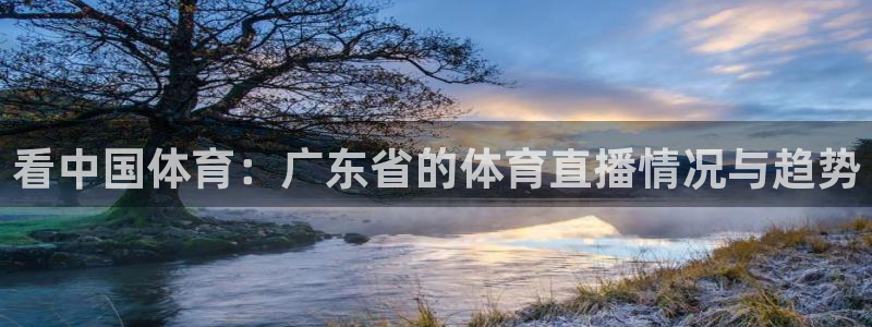 永利贵宾会：看中国体育：广东省的体育直播情况与趋势