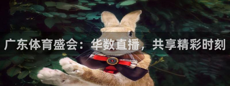 广州永利饭店：广东体育盛会：华数直播，共享精彩时刻