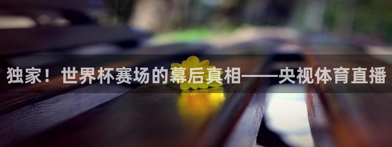 永利八达通：独家！世界杯赛场的幕后真相——央视体育直播