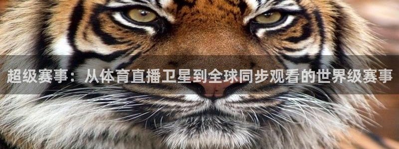 澳门永利集团董事长：超级赛事：从体育直播卫星到全球同步观看的世界级赛事