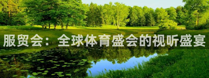 永利皇宫酒店：服贸会：全球体育盛会的视听盛宴