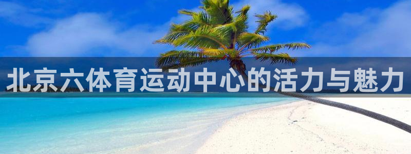 永利澳门老板是谁：北京六体育运动中心的活力与魅力