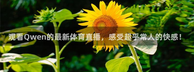 永利：观看Qwen的最新体育直播，感受超乎常人的快感！