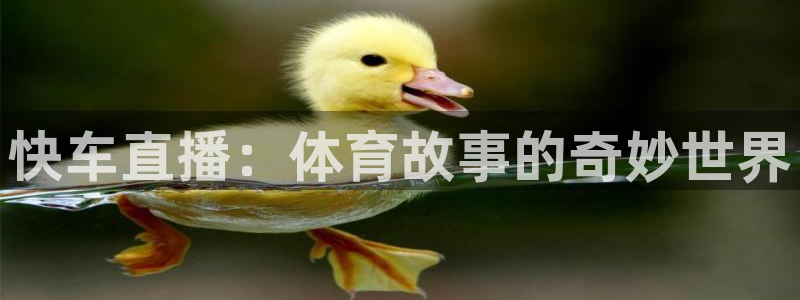 澳门永利集团董事长：快车直播：体育故事的奇妙世界