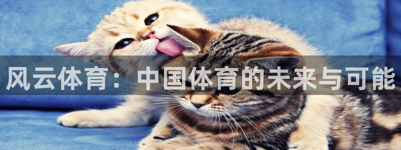 永利澳门股票：风云体育：中国体育的未来与可能