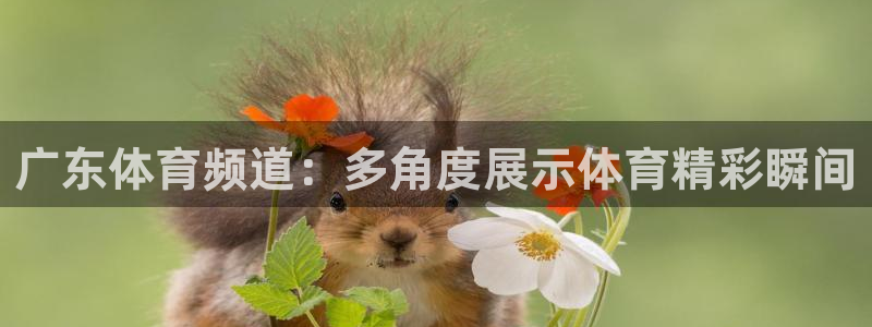永利股份股票：广东体育频道：多角度展示体育精彩瞬间