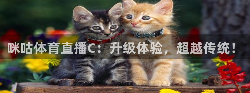 永利皇宫是谁家开的：咪咕体育直播C：升级体验，超越传统！