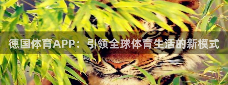 永利澳门：德国体育APP：引领全球体育生活的新模式