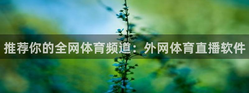 永利皇宫酒店：推荐你的全网体育频道：外网体育直播软件