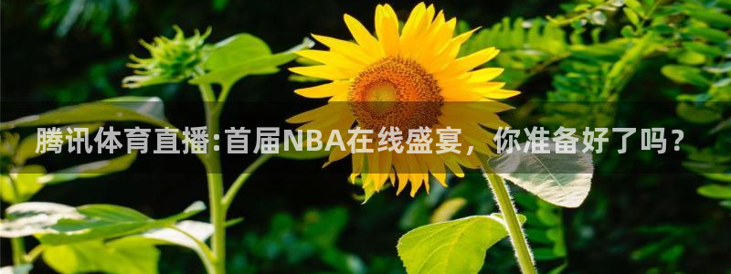 永利皇宫酒店：腾讯体育直播:首届NBA在线盛宴，你准备好了吗？
