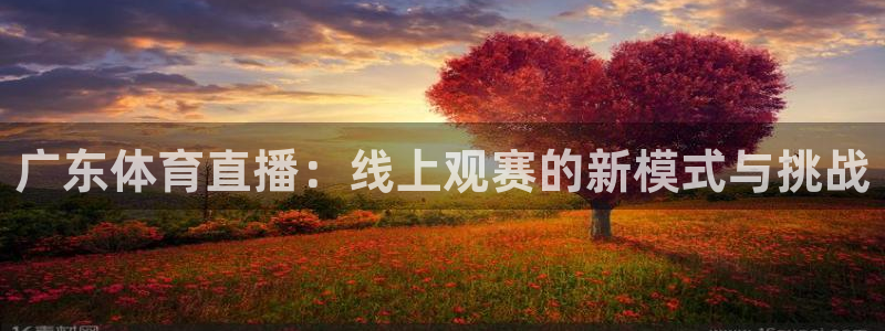 永利股份股吧：广东体育直播：线上观赛的新模式与挑战